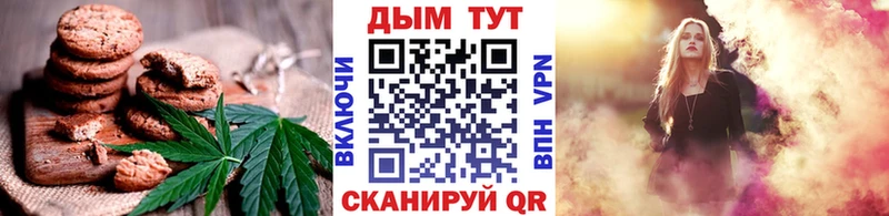 площадка наркотические препараты  Ардатов  hydra ссылка  Canna-Cookies конопля  закладки 